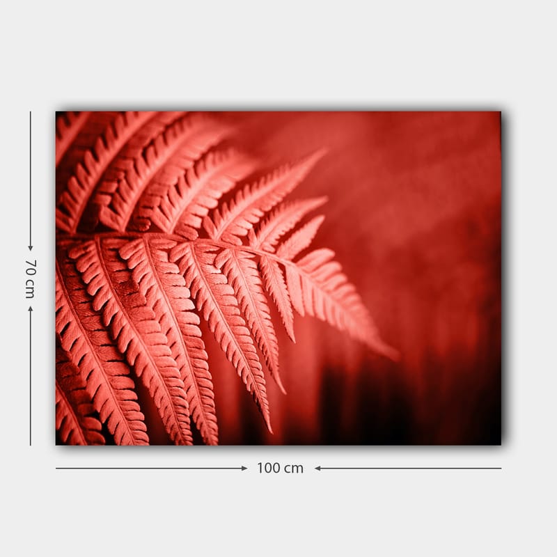 Lerretsbilde 70x100 cm - Stilisert bilde av en rødlig bregne som fremhever detaljene - Rød / Svart - Innredning - Bilder & kunst - Lerretsbilder