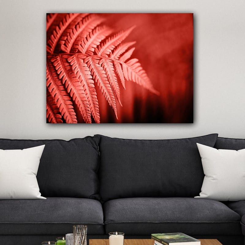 Lerretsbilde 70x100 cm - Stilisert bilde av en rødlig bregne som fremhever detaljene - Rød / Svart - Innredning - Bilder & kunst - Lerretsbilder