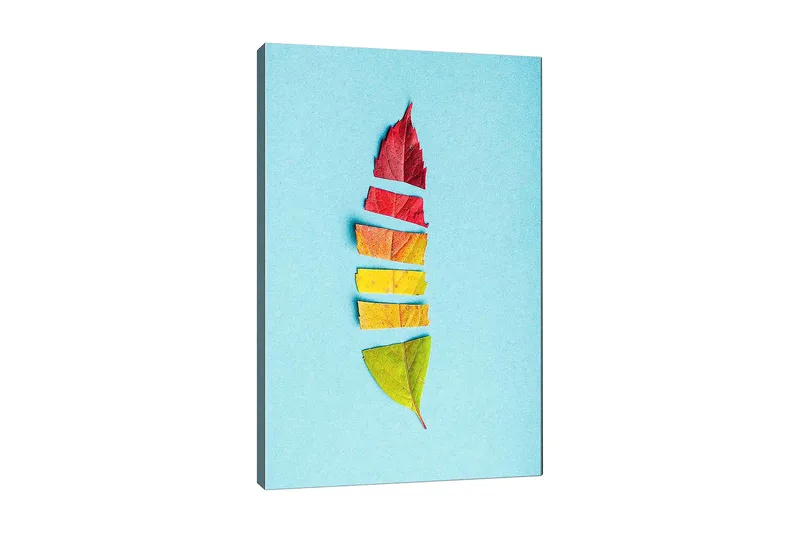 Lerretsbilde 70x100 cm - Stilisert fjær laget av fargerike høstblader, Rød / Gul / Grønn