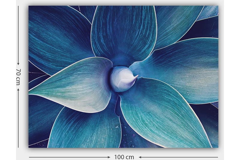 Lerretsbilde 70x100 cm - Stilisert nærbilde av en plante med store, bølgete blader - Blå / Turkis - Innredning - Bilder & kunst - Lerretsbilder