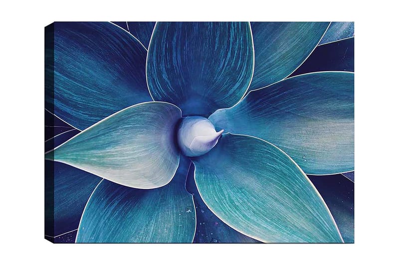 Lerretsbilde 70x100 cm - Stilisert nærbilde av en plante med store, bølgete blader, Blå / Turkis