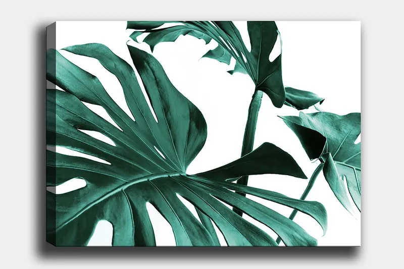 Lerretsbilde 70x100 cm - Stiliserte grønne palmeblader mot hvit bakgrunn, Mørkegrønn / Turkis
