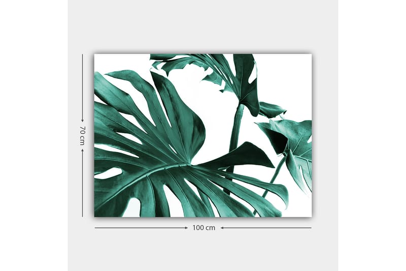 Lerretsbilde 70x100 cm - Stiliserte grønne palmeblader mot hvit bakgrunn - Mørkegrønn / Turkis - Innredning - Bilder & kunst - Lerretsbilder