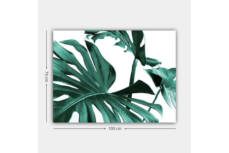 Lerretsbilde 70x100 cm - Stiliserte grønne palmeblader mot hvit bakgrunn - Mørkegrønn / Turkis - Innredning - Bilder & kunst - Lerretsbilder