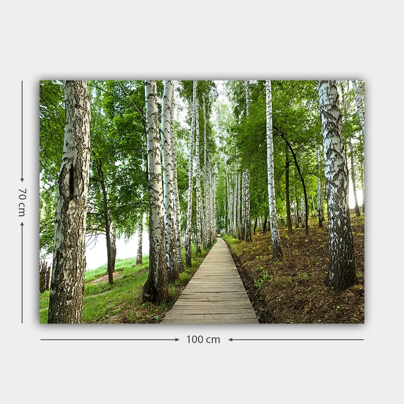 Lerretsbilde 70x100 cm - Stille skogsvei omgitt av bjørker og frodig vegetasjon - Grønn / Hvit / Brun - Innredning - Bilder & kunst - Lerretsbilder