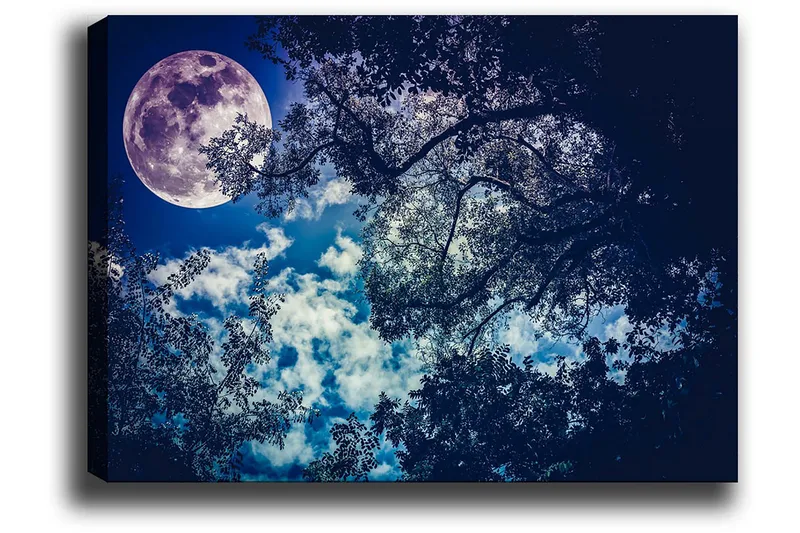 Lerretsbilde 70x100 cm - Stjerneklar natt med en stor måne som skinner gjennom trærnes grener - Mørk blå / Lys blå / Lilla - Innredning - Bilder & kunst - Lerretsbilder