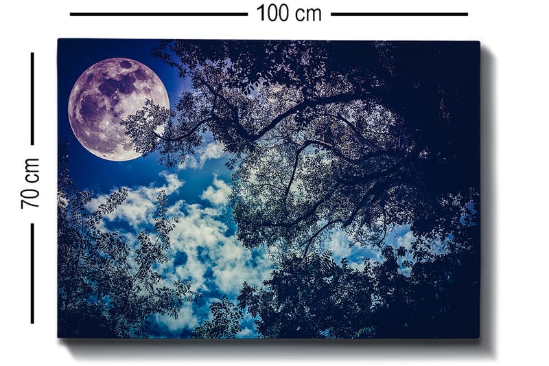 Lerretsbilde 70x100 cm - Stjerneklar natt med en stor måne som skinner gjennom trærnes grener - Mørk blå / Lys blå / Lilla - Innredning - Bilder & kunst - Lerretsbilder