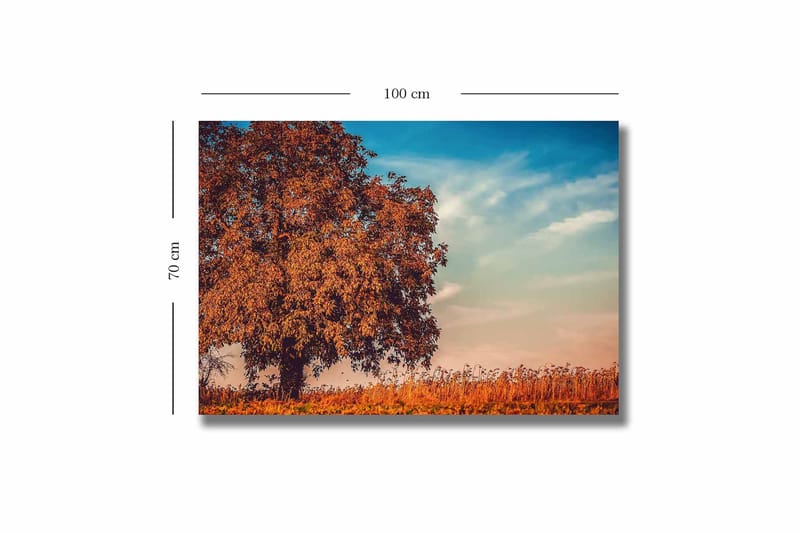 Lerretsbilde 70x100 cm - Stor, oransje trekrone i høstfarger mot en klar blå himmel - Oransje / Blå / Beige - Innredning - Bilder & kunst - Lerretsbilder