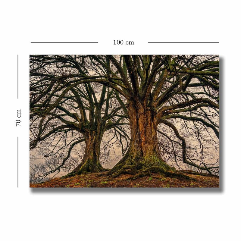 Lerretsbilde 70x100 cm - Storslåtte trær med sterke grener og detaljert bark - Mørk brun / Grønn / Beige - Innredning - Bilder & kunst - Lerretsbilder