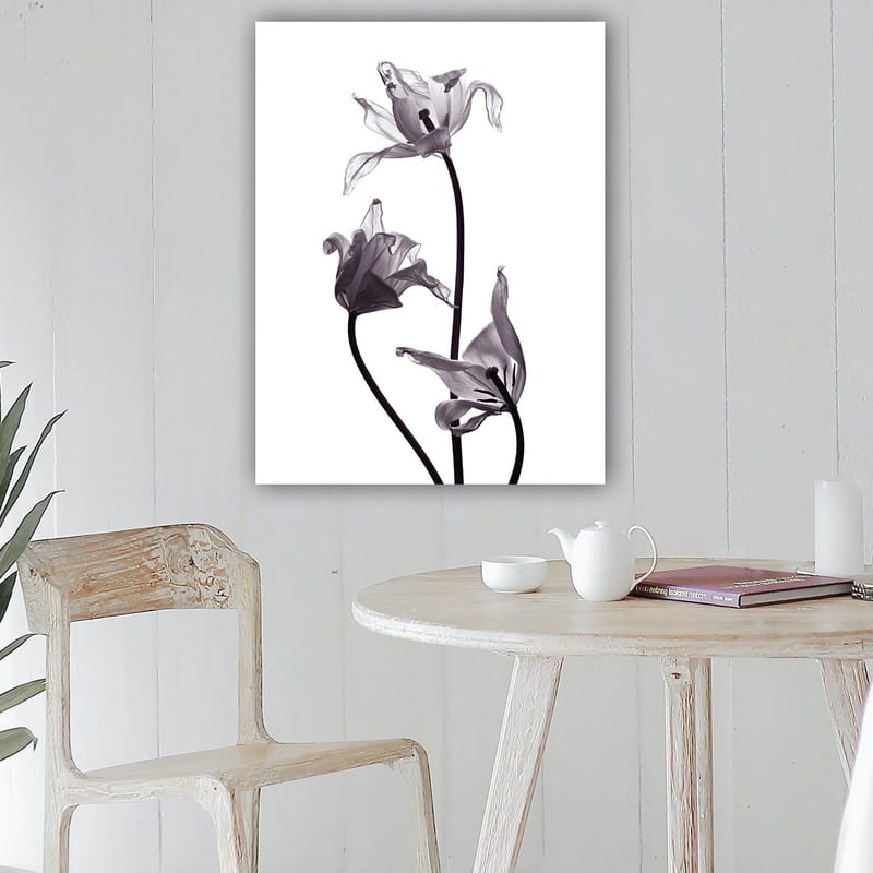 Lerretsbilde 70x100 cm - Svart-hvite tulipaner med elegante former som strekker seg mot toppen - Svart / Grå - Innredning - Bilder & kunst - Lerretsbilder
