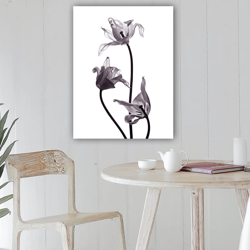 Lerretsbilde 70x100 cm - Svart-hvite tulipaner med elegante former som strekker seg mot toppen - Svart / Grå - Innredning - Bilder & kunst - Lerretsbilder