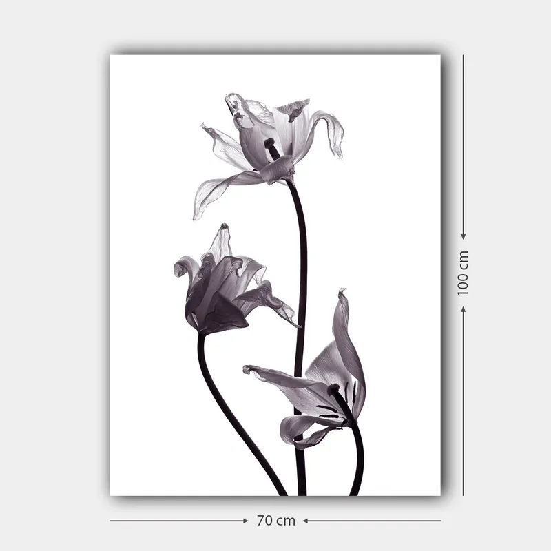 Lerretsbilde 70x100 cm - Svart-hvite tulipaner med elegante former som strekker seg mot toppen - Svart / Grå - Innredning - Bilder & kunst - Lerretsbilder