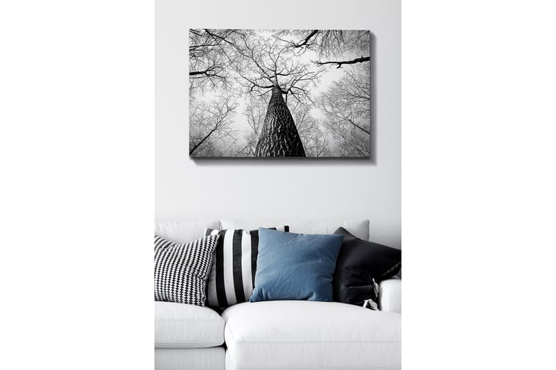 Lerretsbilde 70x100 cm - Svart-hvitt-bilde av et tre som strekker seg opp mot en lys himmel, sett fra bakken, Svart / Hvit / Grå