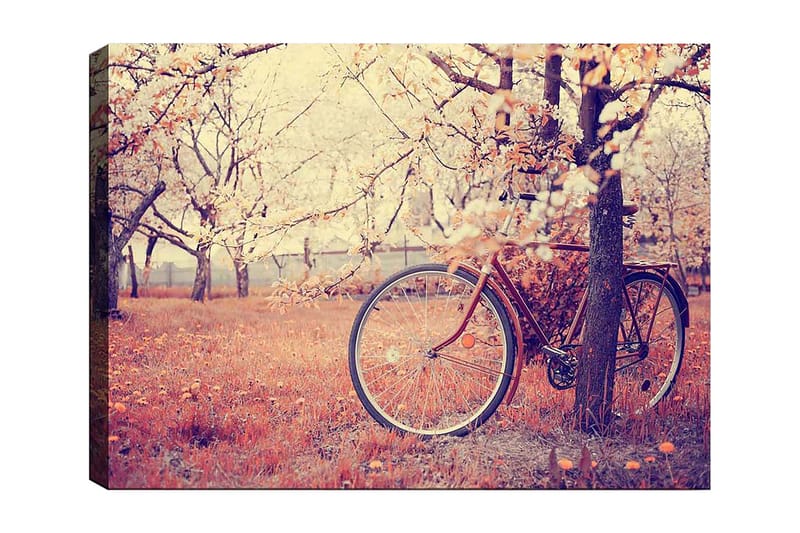 Lerretsbilde 70x100 cm - Sykkel lent mot et tre i en blomstrende frukthage om våren, Oransje / Brun / Grå