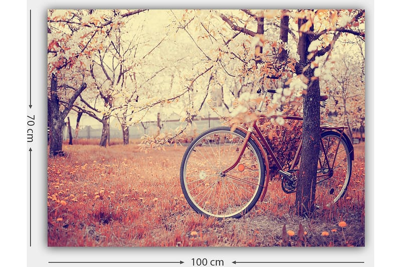 Lerretsbilde 70x100 cm - Sykkel lent mot et tre i en blomstrende frukthage om våren - Oransje / Brun / Grå - Innredning - Bilder & kunst - Lerretsbilder