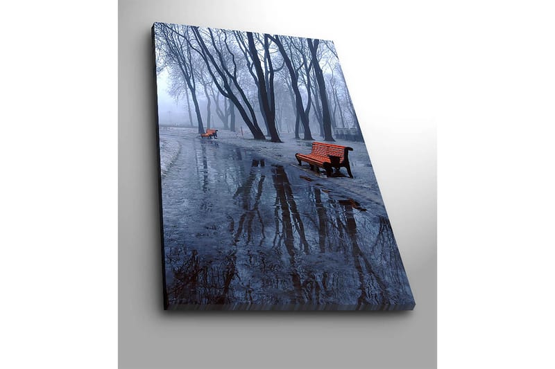 Lerretsbilde 70x100 cm - Tåkete park med to oransje benker omgitt av kalde, nakne trær - Oransje / Blå / Grå - Innredning - Bilder & kunst - Lerretsbilder
