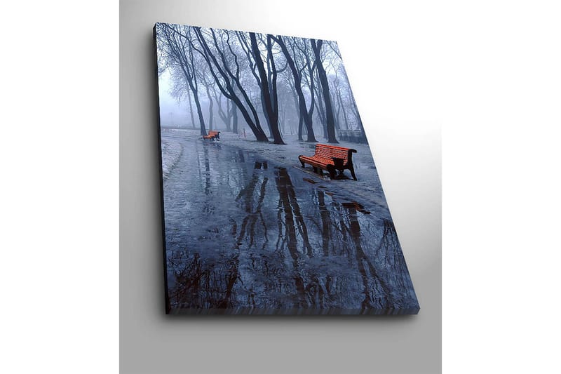 Lerretsbilde 70x100 cm - Tåkete park med to oransje benker omgitt av kalde, nakne trær - Oransje / Blå / Grå - Innredning - Bilder & kunst - Lerretsbilder