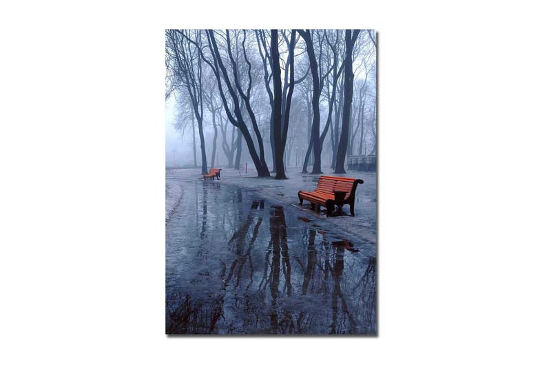 Lerretsbilde 70x100 cm - Tåkete park med to oransje benker omgitt av kalde, nakne trær, Oransje / Blå / Grå