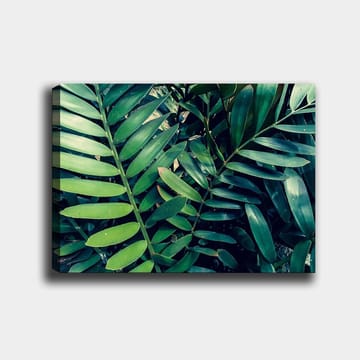 Lerretsbilde 70x100 cm - Tettvevde grønne planteblader som skaper en frodig og levende følelse - Mørkegrønn / Lysegrønn - Innredning - Bilder & kunst - Lerretsbilder