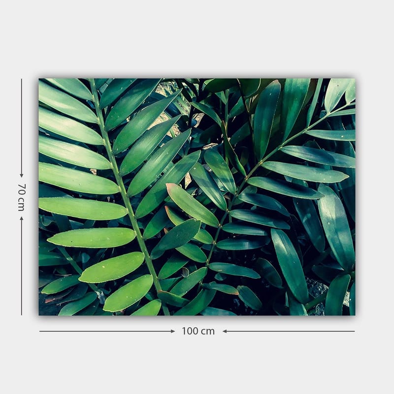 Lerretsbilde 70x100 cm - Tettvevde grønne planteblader som skaper en frodig og levende følelse - Mørkegr ønn / Lysegrønn - Innredning - Bilder & kunst - Lerretsbilder