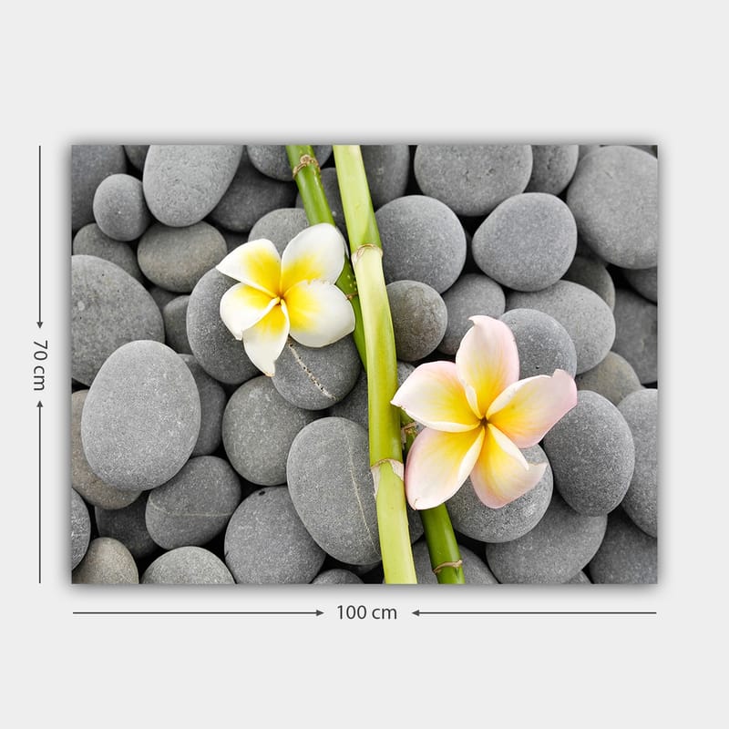 Lerretsbilde 70x100 cm - To blomster i pastellfarger som ligger på en samling grå steiner - Grå / Gul / Rosa - Innredning - Bilder & kunst - Lerretsbilder