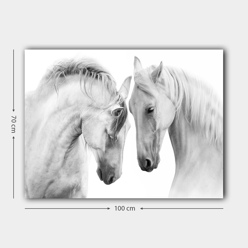 Lerretsbilde 70x100 cm - To elegante hester som står tett inntil hverandre og viser en følelse av samhørighet - Hvit / Grå - Innredning - Bilder & kunst - Lerretsbilder