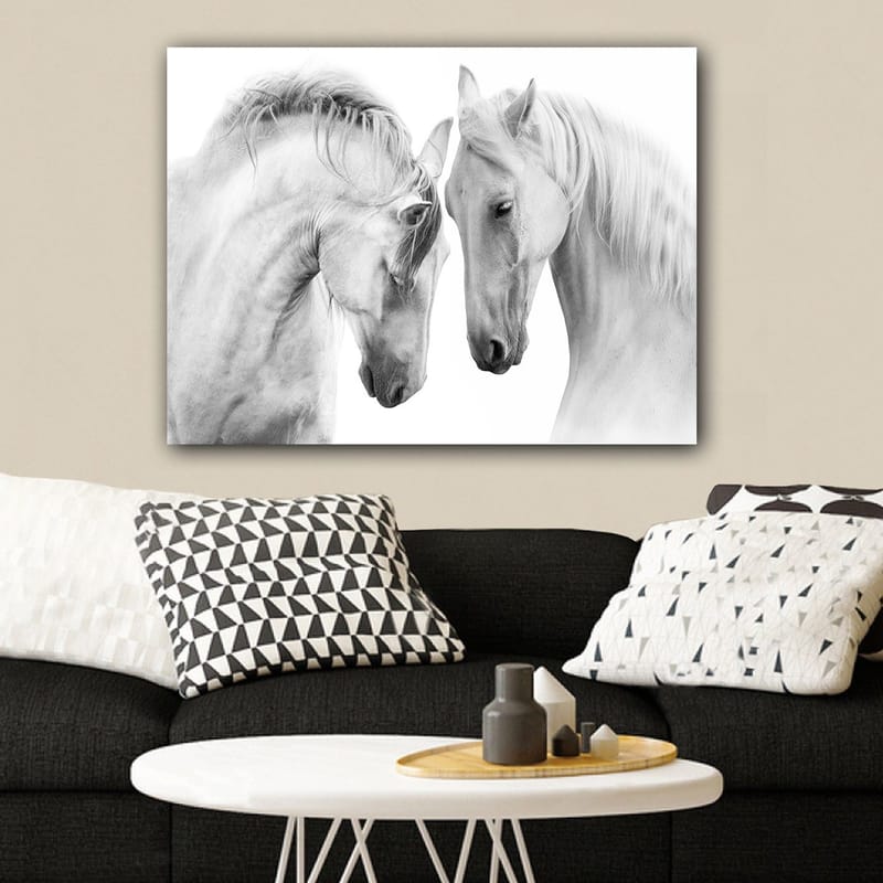 Lerretsbilde 70x100 cm - To elegante hester som står tett inntil hverandre og viser en følelse av samhørighet - Hvit / Grå - Innredning - Bilder & kunst - Lerretsbilder