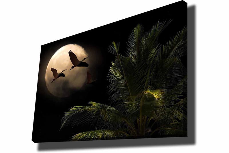 Lerretsbilde 70x100 cm - To fugler som flyr mot en stor måne over en palmelignende plante - Mørk grønn / Grå / Beige - Innredning - Bilder & kunst - Lerretsbilder