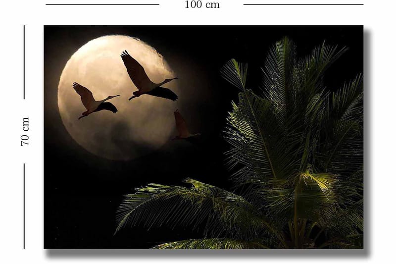 Lerretsbilde 70x100 cm - To fugler som flyr mot en stor måne over en palmelignende plante - Mørk grønn / Grå / Beige - Innredning - Bilder & kunst - Lerretsbilder