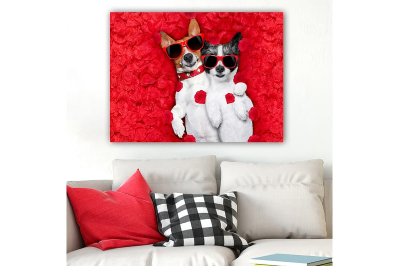 Lerretsbilde 70x100 cm - To hunder som ligger sammen på en rød blomsterbakgrunn, med solbriller - Rød / Hvit / Svart - Innredning - Bilder & kunst - Lerretsbilder