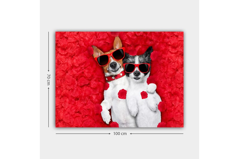 Lerretsbilde 70x100 cm - To hunder som ligger sammen på en rød blomsterbakgrunn, med solbriller - Rød / Hvit / Svart - Innredning - Bilder & kunst - Lerretsbilder