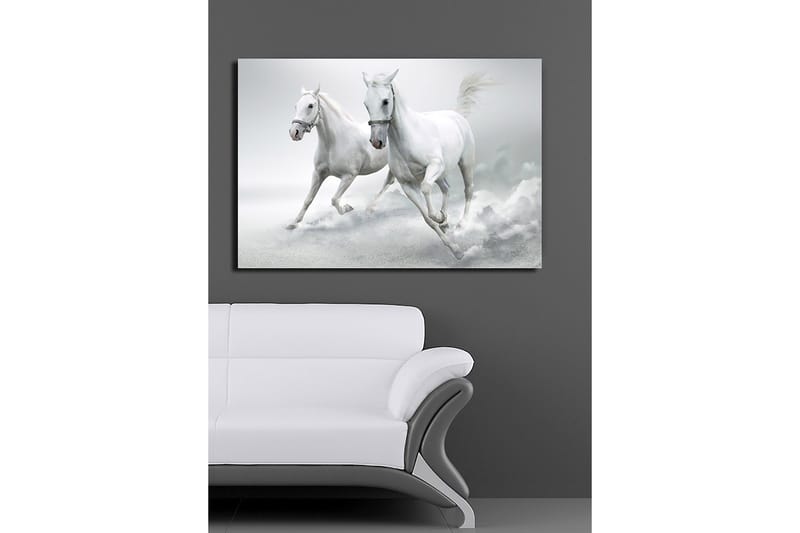 Lerretsbilde 70x100 cm - To hvite hester galopperer fremover i en dynamisk bevegelse - Hvit / Grå - Innredning - Bilder & kunst - Lerretsbilder