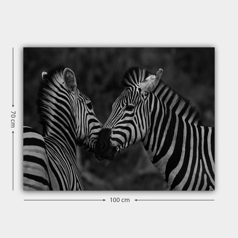 Lerretsbilde 70x100 cm - To sebraer som står tett inntil hverandre og viser sin samhørighet - Svart / Hvit - Innredning - Bilder & kunst - Lerretsbilder