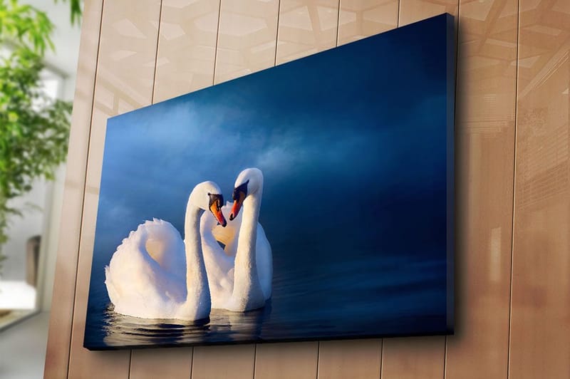 Lerretsbilde 70x100 cm - To svaner som danner et hjerte med halsen i en romantisk og fredelig atmosfære - Hvit / Mørk blå - Innredning - Bilder & kunst - Lerretsbilder