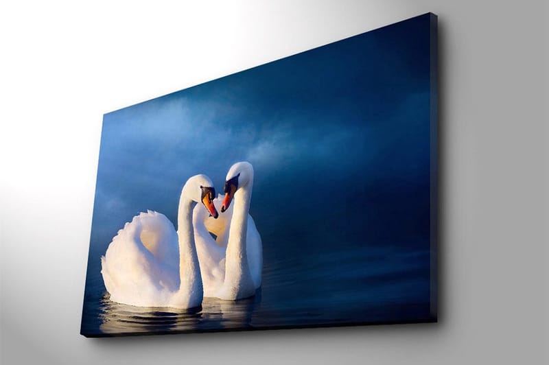 Lerretsbilde 70x100 cm - To svaner som danner et hjerte med halsen i en romantisk og fredelig atmosfære - Hvit / Mørk blå - Innredning - Bilder & kunst - Lerretsbilder