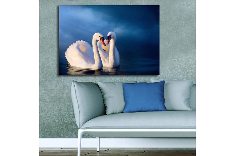 Lerretsbilde 70x100 cm - To svaner som danner et hjerte med halsen i en romantisk og fredelig atmosfære - Hvit / Mørk blå - Innredning - Bilder & kunst - Lerretsbilder