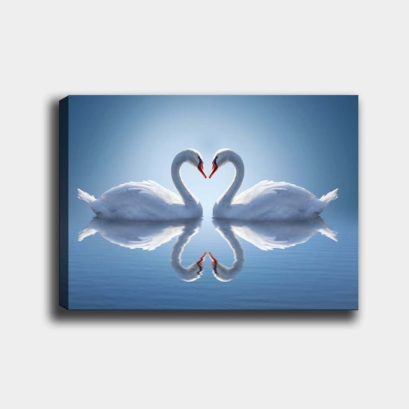 Lerretsbilde 70x100 cm - To svaner som danner et hjerte med halsene i speilbilde på vannet, Hvit / Rød / Blå