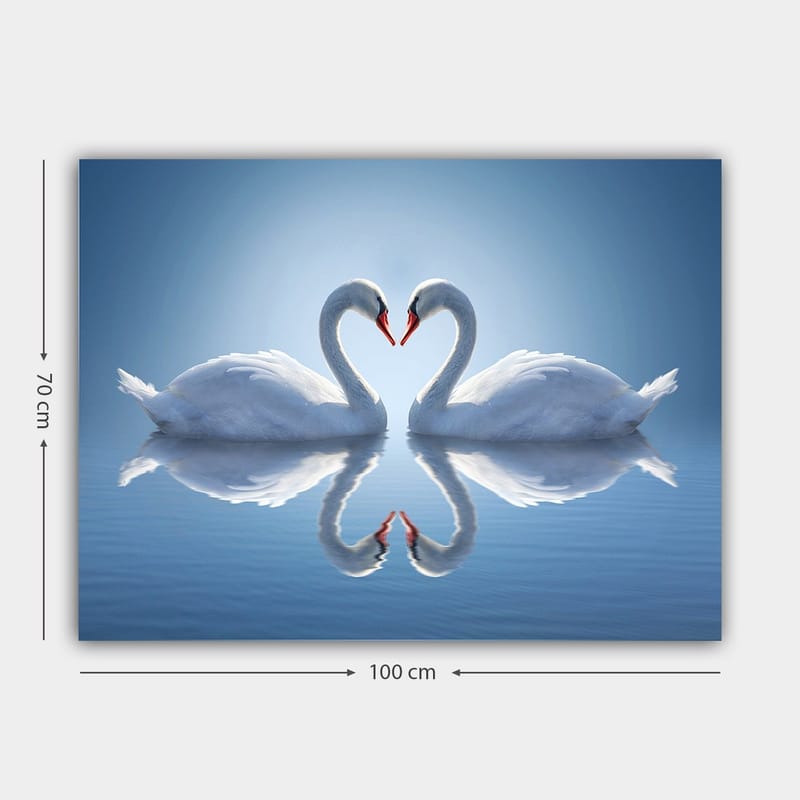 Lerretsbilde 70x100 cm - To svaner som danner et hjerte med halsene i speilbilde på vannet - Hvit / Rød / Blå - Innredning - Bilder & kunst - Lerretsbilder
