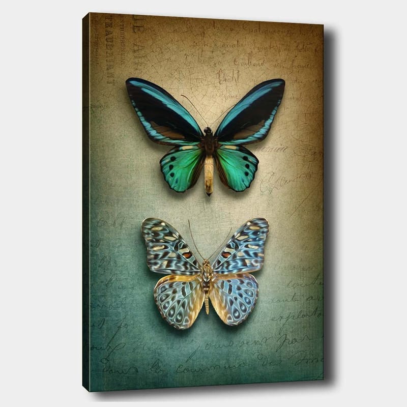 Lerretsbilde 70x100 cm - To vakre sommerfugler i en harmonisk komposisjon - Turkis / Grønn / Blå - Innredning - Bilder & kunst - Lerretsbilder