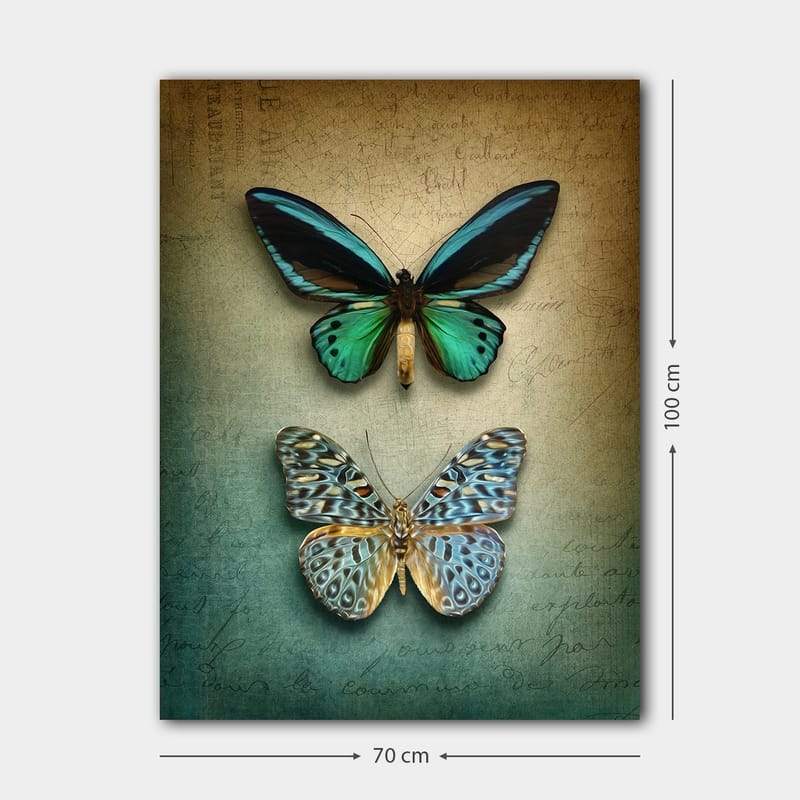 Lerretsbilde 70x100 cm - To vakre sommerfugler i en harmonisk komposisjon - Turkis / Grønn / Blå - Innredning - Bilder & kunst - Lerretsbilder