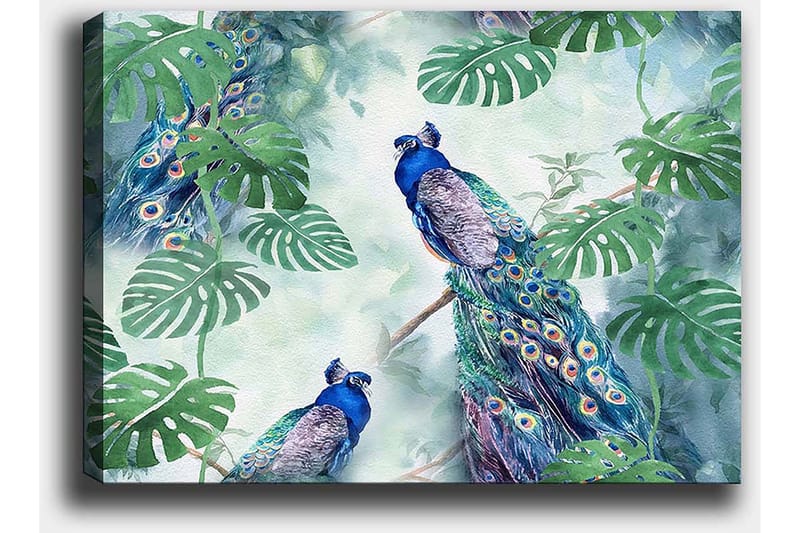Lerretsbilde 70x100 cm - To påfugler som sitter blant grønne planter i et levende og fargerikt miljø - Blå / Grønn / Turkis - Innredning - Bilder & kunst - Lerretsbilder