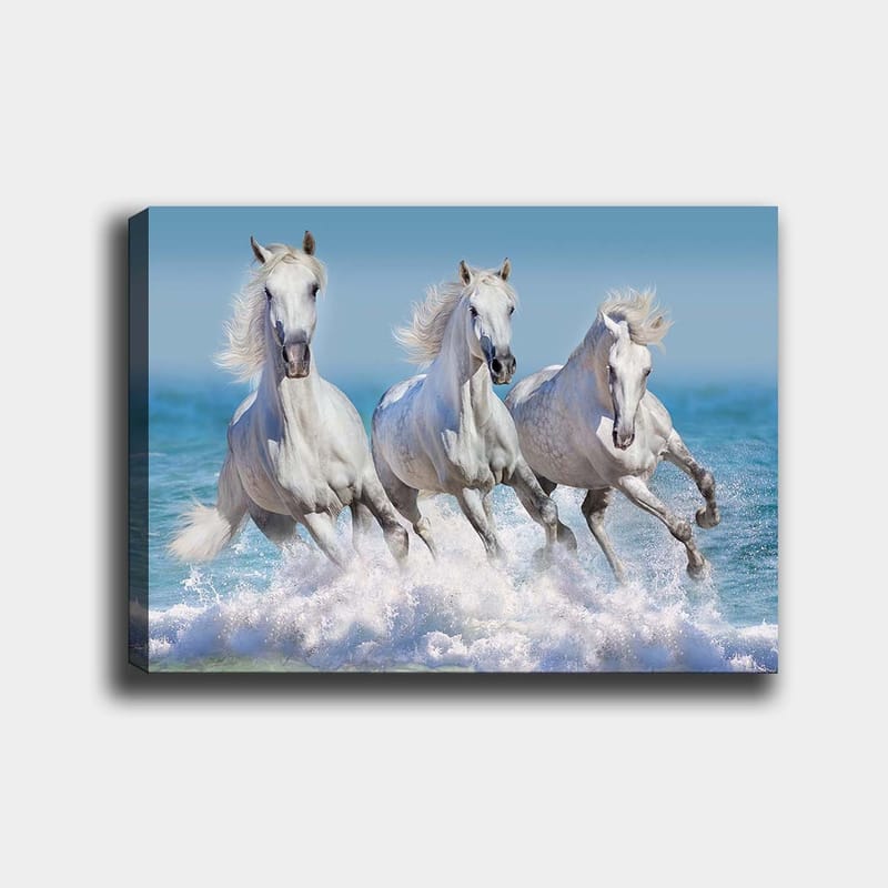 Lerretsbilde 70x100 cm - Tre hvite hester galopperer gjennom bølgene ved havet, Hvit / Lys blå / Turkis