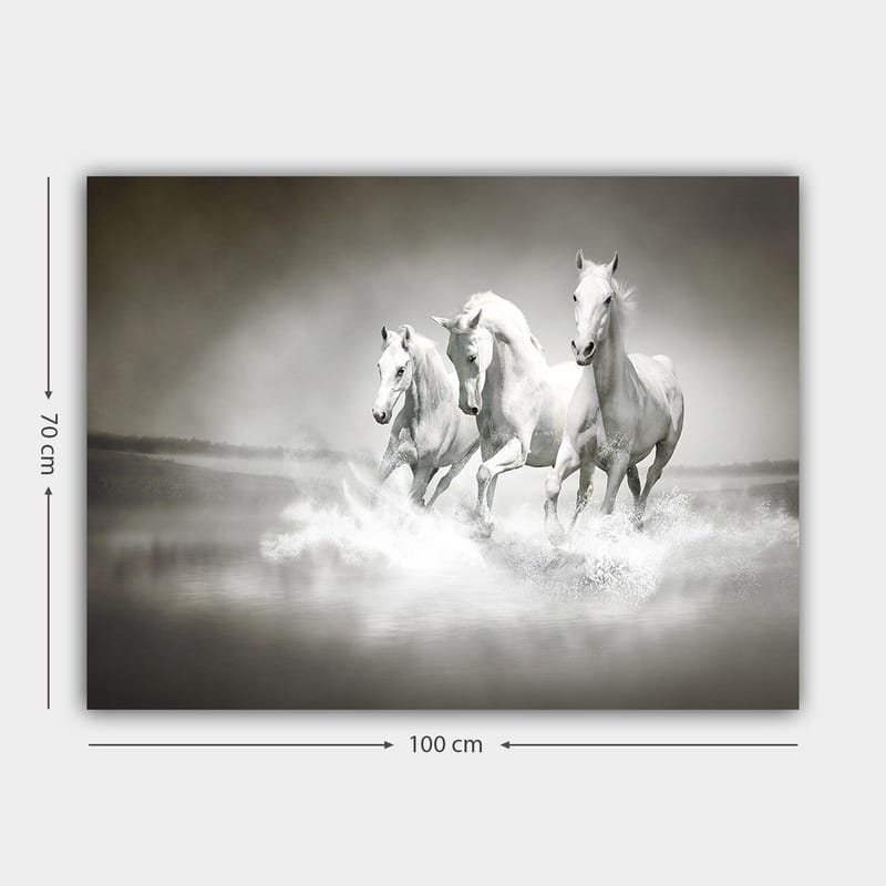 Lerretsbilde 70x100 cm - Tre hvite hester galopperer gjennom vann - Hvit / Grå - Innredning - Bilder & kunst - Lerretsbilder