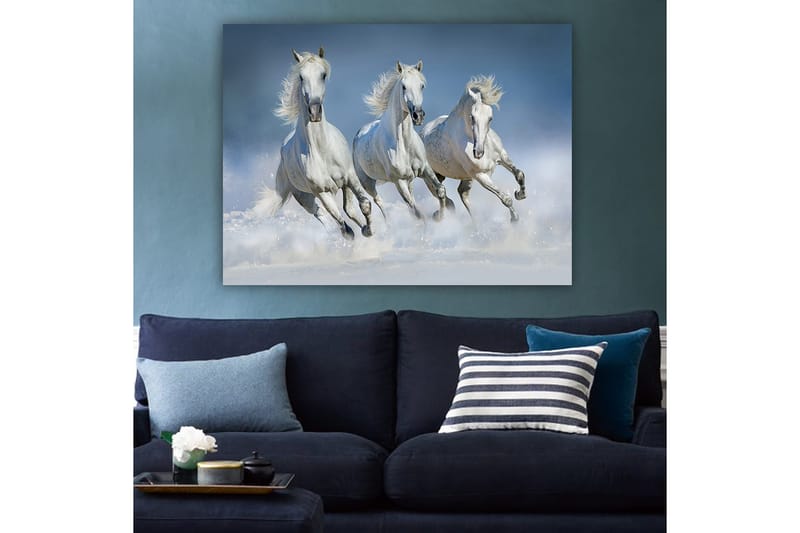 Lerretsbilde 70x100 cm - Tre hvite hester galopperer gjennom vannet - Hvit / Lys blå - Innredning - Bilder & kunst - Lerretsbilder