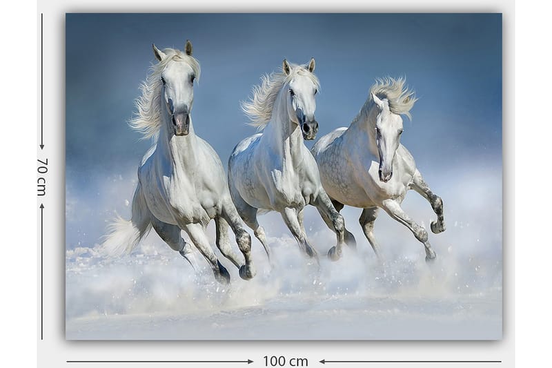 Lerretsbilde 70x100 cm - Tre hvite hester galopperer gjennom vannet - Hvit / Lys blå - Innredning - Bilder & kunst - Lerretsbilder