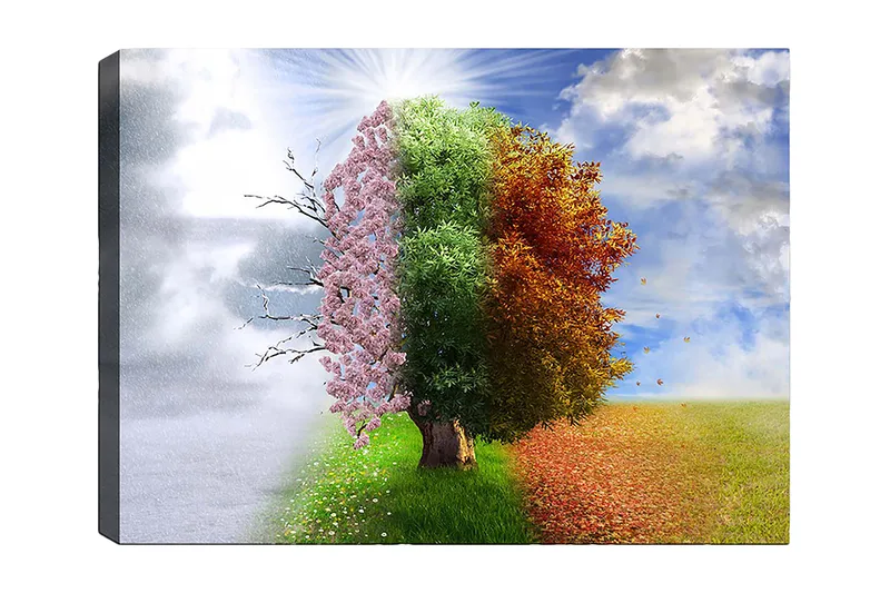 Lerretsbilde 70x100 cm - Trestruktur som representerer de fire årstidene, fra vinter til vår, overgang til sommer og høst, Rosa / Grønn / Oransje