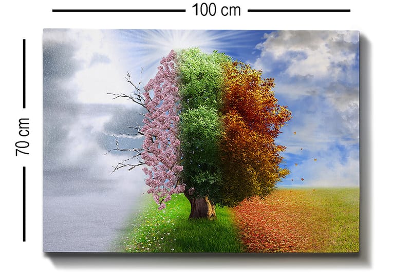 Lerretsbilde 70x100 cm - Trestruktur som representerer de fire årstidene, fra vinter til vår, overgang til sommer og høst - Rosa / Grønn / Oransje - Innredning - Bilder & kunst - Lerretsbilder