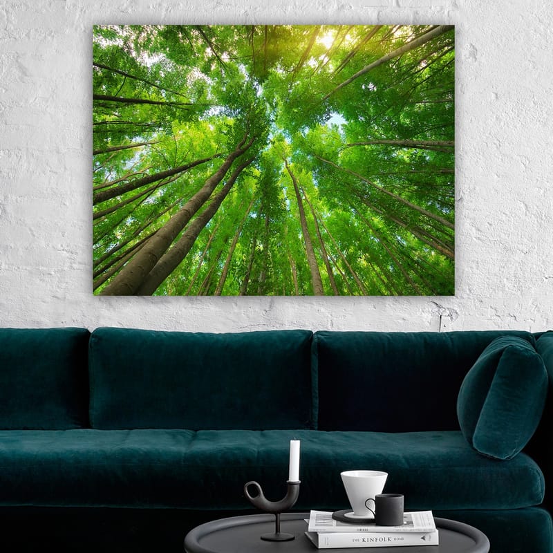 Lerretsbilde 70x100 cm - Utsikt over høye trær sett fra bakken, som strekker seg mot en klar himmel - Grønn / Brun - Innredning - Bilder & kunst - Lerretsbilder