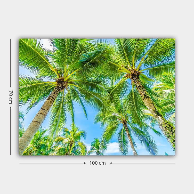 Lerretsbilde 70x100 cm - Utsikt over høye palmer som strekker seg mot en klar blå himmel - Grønn / Blå - Innredning - Bilder & kunst - Lerretsbilder