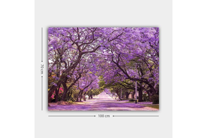 Lerretsbilde 70x100 cm - Vakker allé med lilla blomstrende trær som skaper en drømmeaktig atmosfære - Lilla / Grønn - Innredning - Bilder & kunst - Lerretsbilder